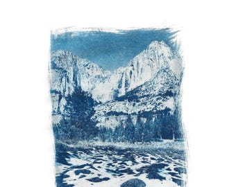 Cooks Meadow Cyanotype Print