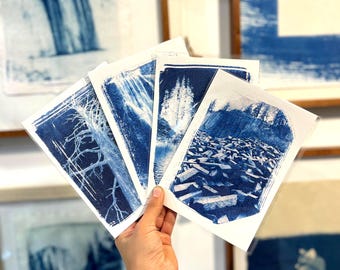 Mammoth Cyanotype Print Set
