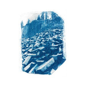 Cyanotype Print &quot;Devils Postpile&quot;