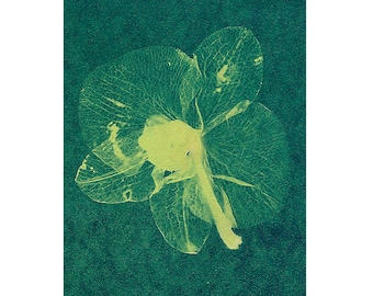 ハンドメイドのカディ紙にプリントされたオリジナルアートのシアノ