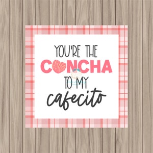 May include: A pink and white plaid background with a white card that says "You're the CONCHA to my cafecito". The word CONCHA has a pink heart-shaped pastry with a swirl design.