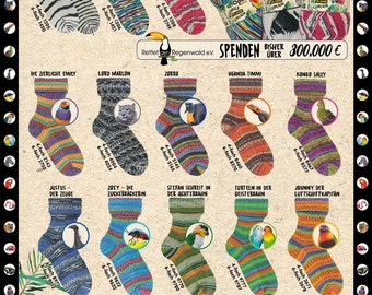 6 ply Opal Sock Yarn Rainforest 20 anniversary collection with Best Sellers colorways