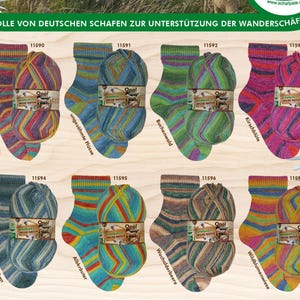 May include: Image features colorful Opal sock yarn and matching socks. The text on the sign reads "Schafpate 17 - Wilde Natur". The socks and yarn are in various color combinations, including blue, green, and pink.