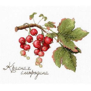 Red Currants  Cross stitch Kit with Aida and floss