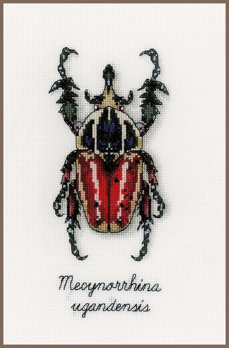 Red Beetle Cross Stitch Kit by Vercaco Etsy
