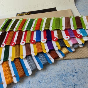 May include: A collection of embroidery floss organized on numbered white cardboard bobbins, featuring a wide spectrum of colors including greens, reds, blues, yellows, and browns, arranged on a piece of beige Aida fabric with a digital chart label.