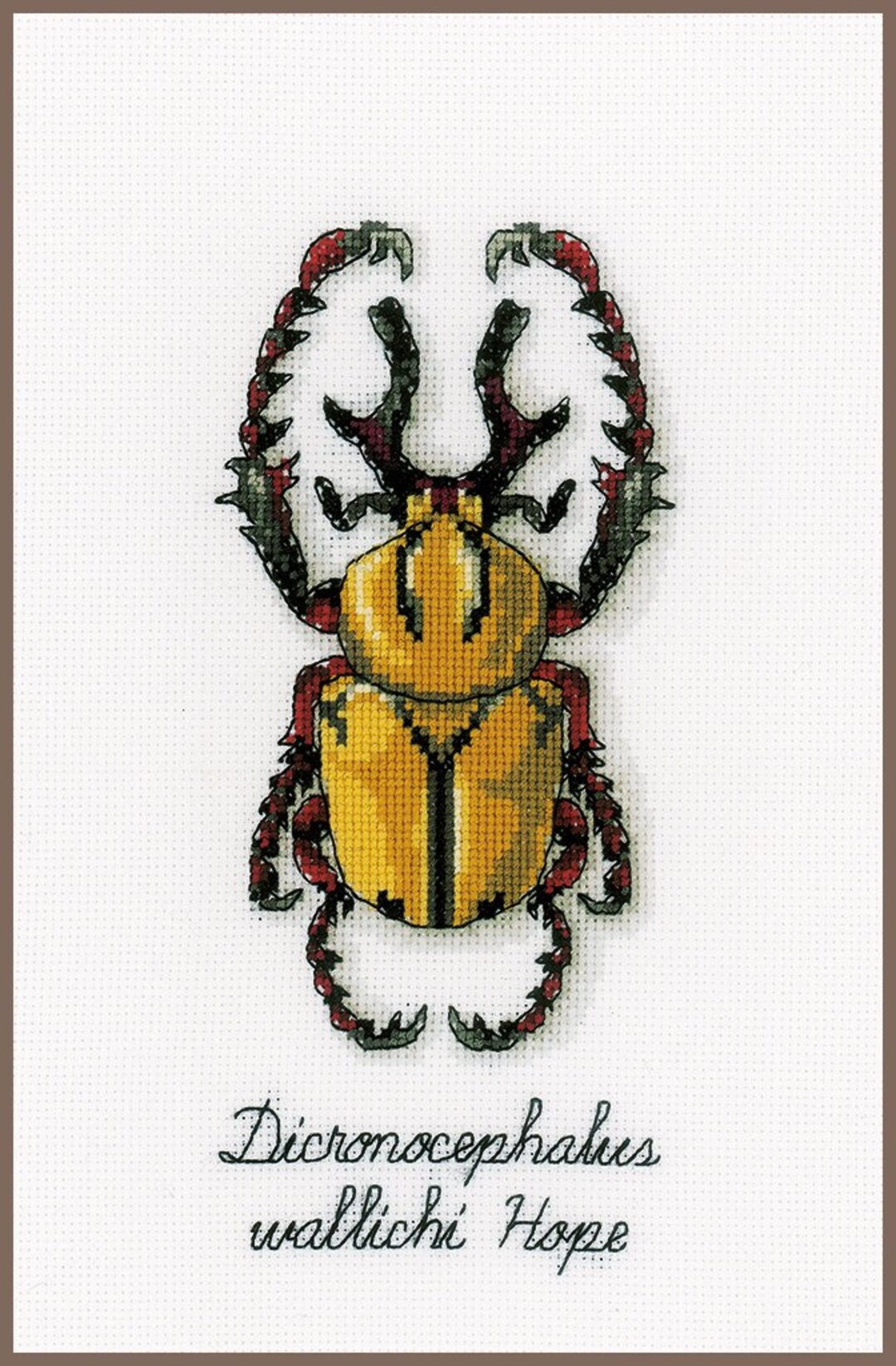 Golden Beetle Cross Stitch Kit by Vercaco Etsy