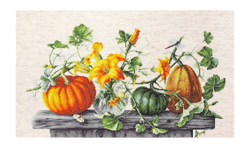 トップス andmary Luca stitch tops black ANDMARY】Luca stitch tops