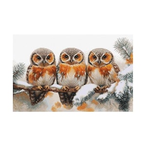 Owls in The Silence of Winter - Cross Stitch Kit Luca-S B5077