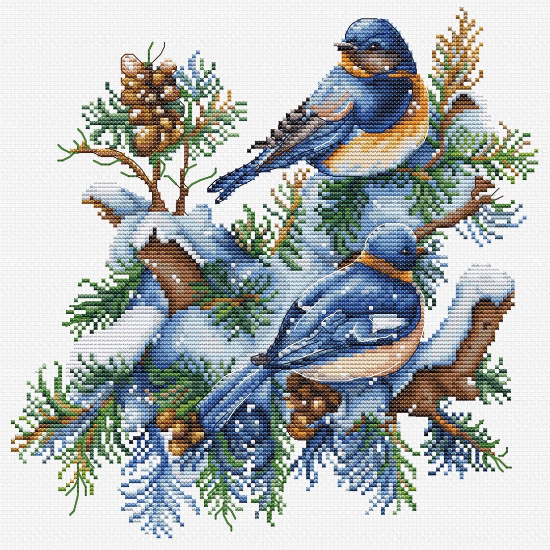 Cross Stitch KIT the Birdswinter by Lucas B2418 Etsy
