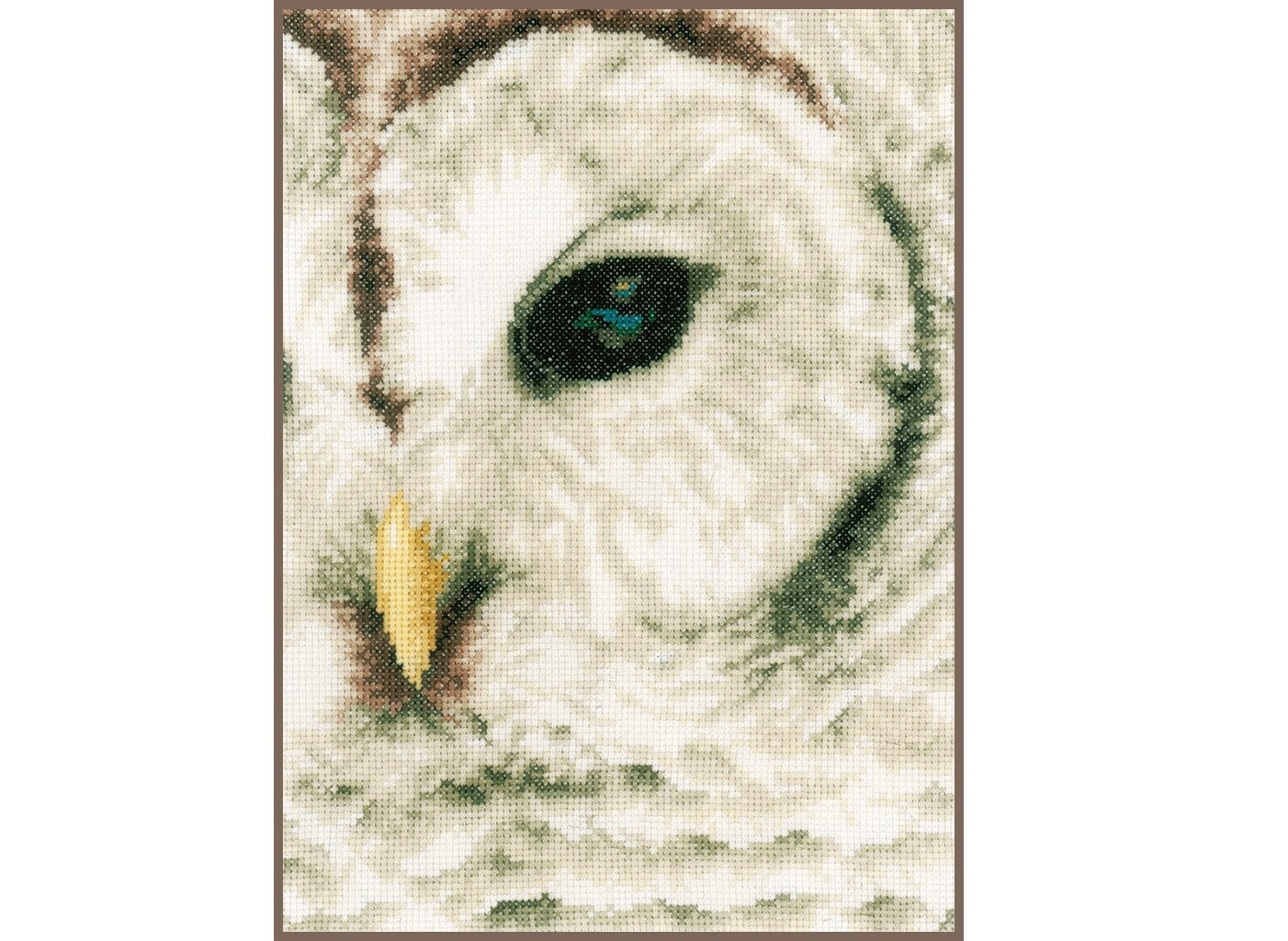 PDF Counted Cross Stitch Wise Owl / Owl Cross Stitch, Diy, Embroidery,  Pattern, Gift, Library, Librarian Gift, Kids, Books, Reading 