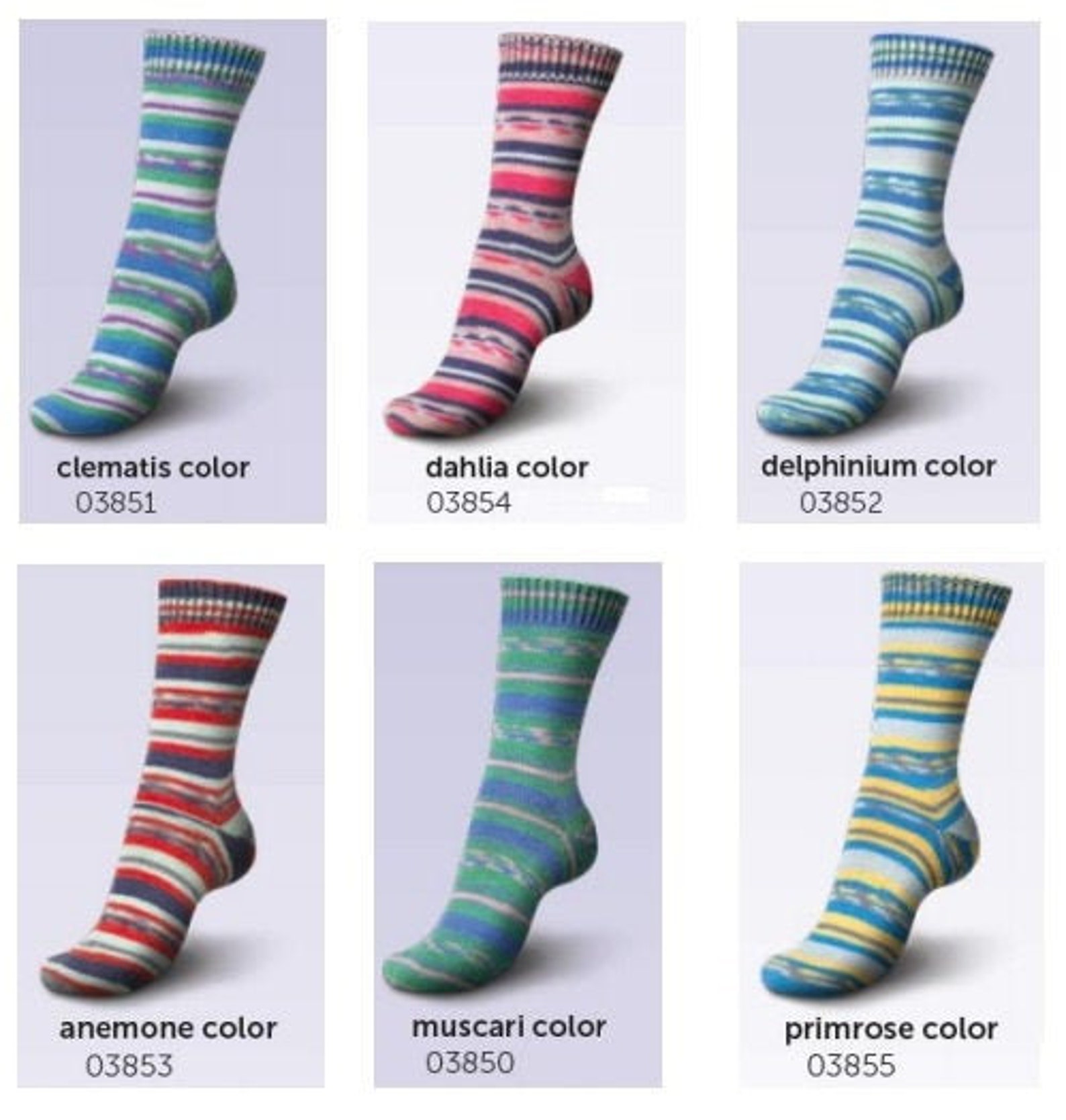 Regia 4 Ply Sock Yarn Design Line by Dee Hardwicke Garden Etsy