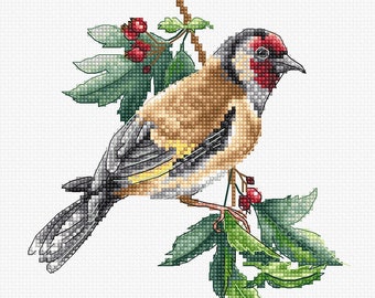 Goldfinch bird - Cross stitch kit by Luca-S brand B1197