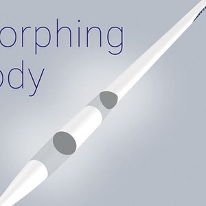 May include: A white, elongated object with a gray, cylindrical section in the middle. The object is labeled "morphing body".