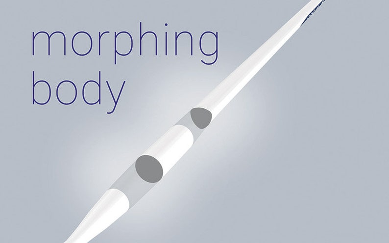 May include: A white, elongated object with a gray, cylindrical section in the middle. The object is labeled "morphing body".