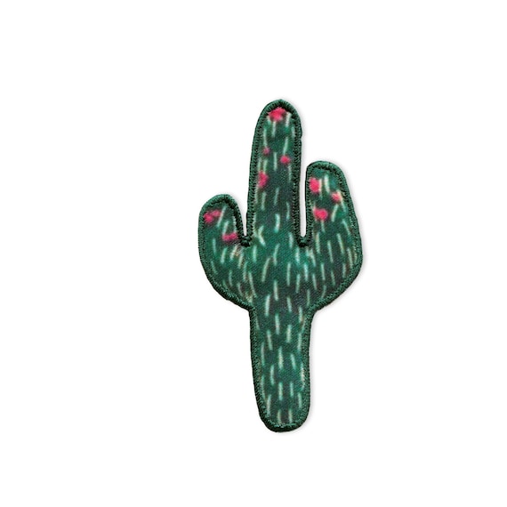 echter kaktus kaufen Euphorbia marmorata (Wolfsmilch) kaufen