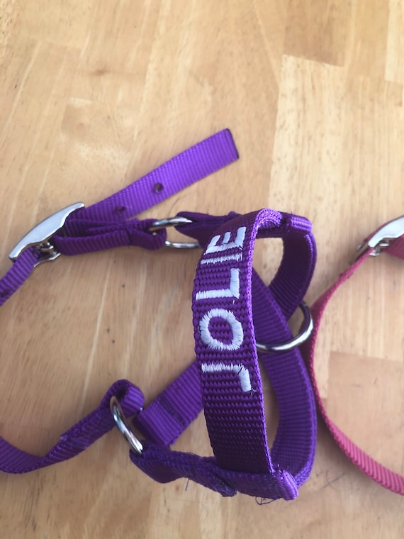 Monogrammed Alpaca Halters