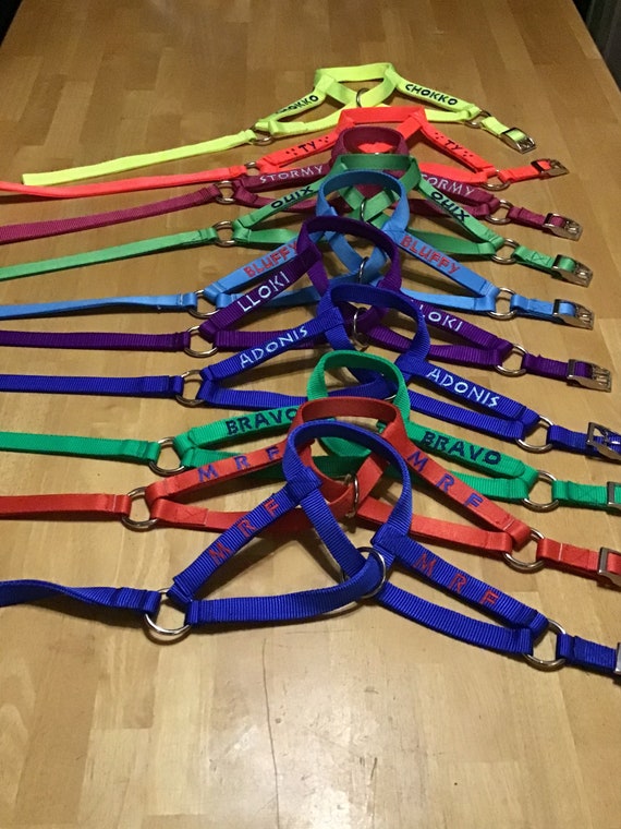 Monogrammed Llama Halters