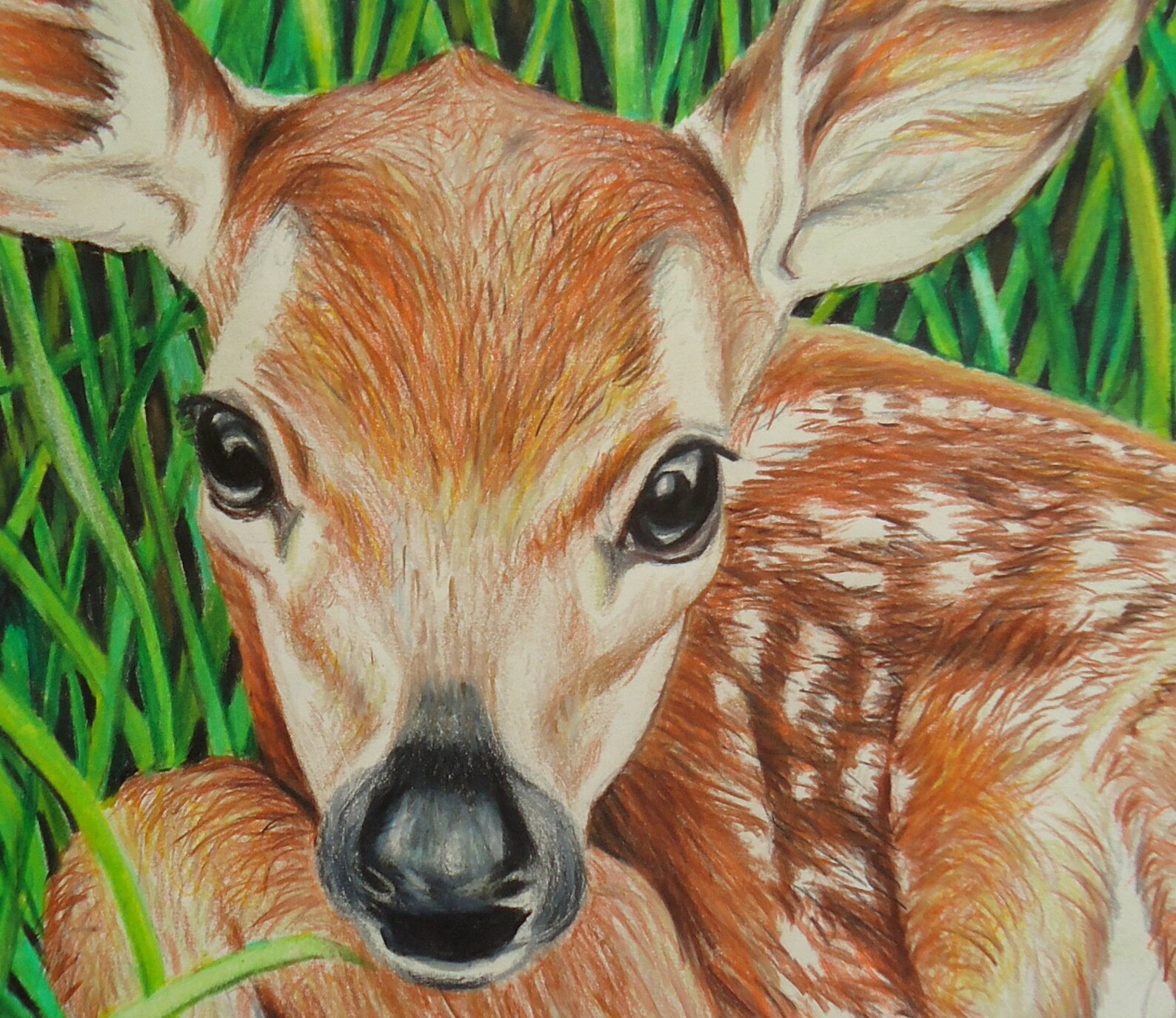 Original Baby Deer Art Green Animal Drawing Colored Pencil Etsy UK