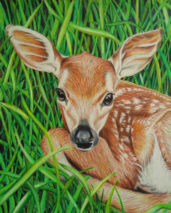 Buy Original Baby Deer Art Green Animal Drawing Colored Pencil Online in India - Etsy Buy Original Baby Deer Art Green Animal Drawing Colored Pencil Online in India - Etsy