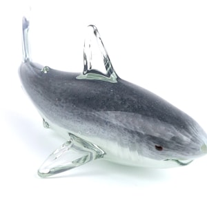 Shark Paperweight - Hand-Made from Molten Glass - Each is Unique!  Includes illustrated Shark Card and Envelope