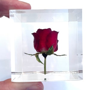 Red or White Rose Cube Paperweight - Made from a real rose flower! Rose card and envelope included