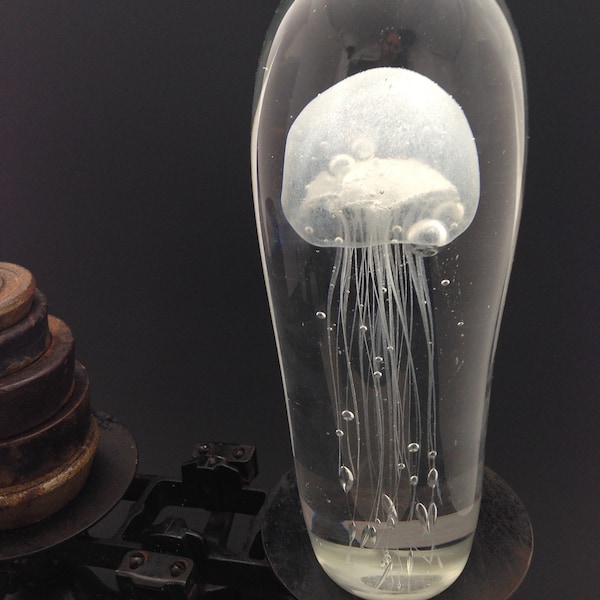 Glass Jellyfish Paperweight - It Glows in the Dark! Includes Illustrated Jellyfish Card and Envelope