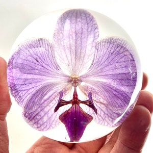 Orchideen Briefbeschwerer - Hergestellt aus einer echten Orchidee! Orchideenkarte und Umschlag inklusive