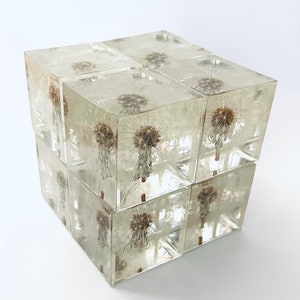 Dandelion Paperweight Small Cubes - Made from a real dandelion seed puff! Dandelion card and envelope included