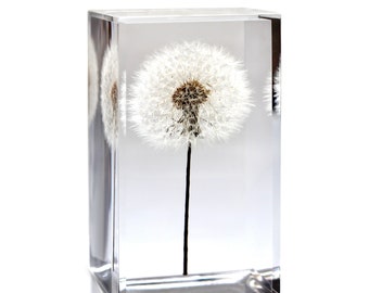 Beautiful Dandelion Puff In Wind Deluxe Printing Small Purse Portable Receiving Bag Beautiful Dandelion Puff In Wind Deluxe Printing Small Purse Portable Receiving Bag