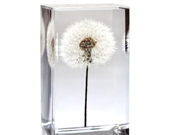 Dandelion Paperweight Cube - Made from a real dandelion seed puff! Dandelion card and envelope included