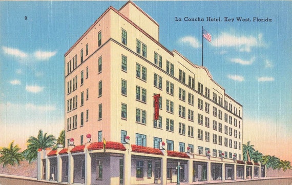 Tampa Florida BAY VIEW HOTEL vintage Postcard 1950's