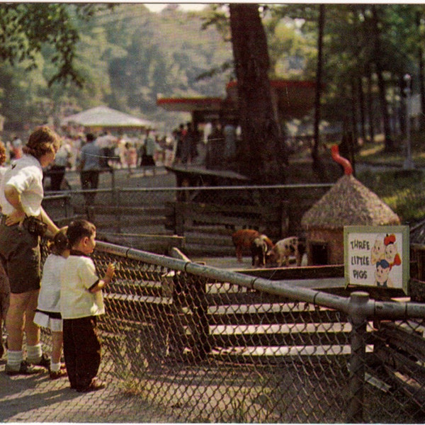 Vintage Postcard Cleveland Zoo, Childrens Petting Zoo, Brookside Park, Cleveland Ohio c.1960