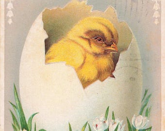 Easter Postcard Chick in Egg with Flowers Divided Back Embossed  Postmark 1910