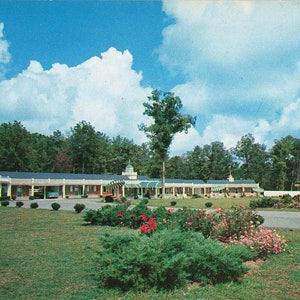 Jarratt, Virginie Carte postale Jarratt Motel & Restaurant AAA Vers les années 1950