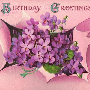 Birthday Greetings Postcard Violets German About 1910