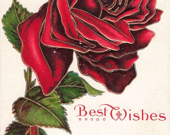Greeting Postcard Best Wishes Rose  Embossed  Postmark 1909