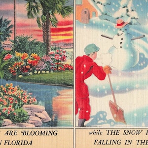 Carte postale bonhomme de neige Floride fleurs neige tombant nord vers les années 40