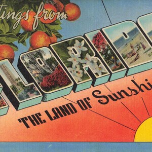 Floride Grande carte postale lettre Greetings Land of Sunshine multi-vues vers les années 40
