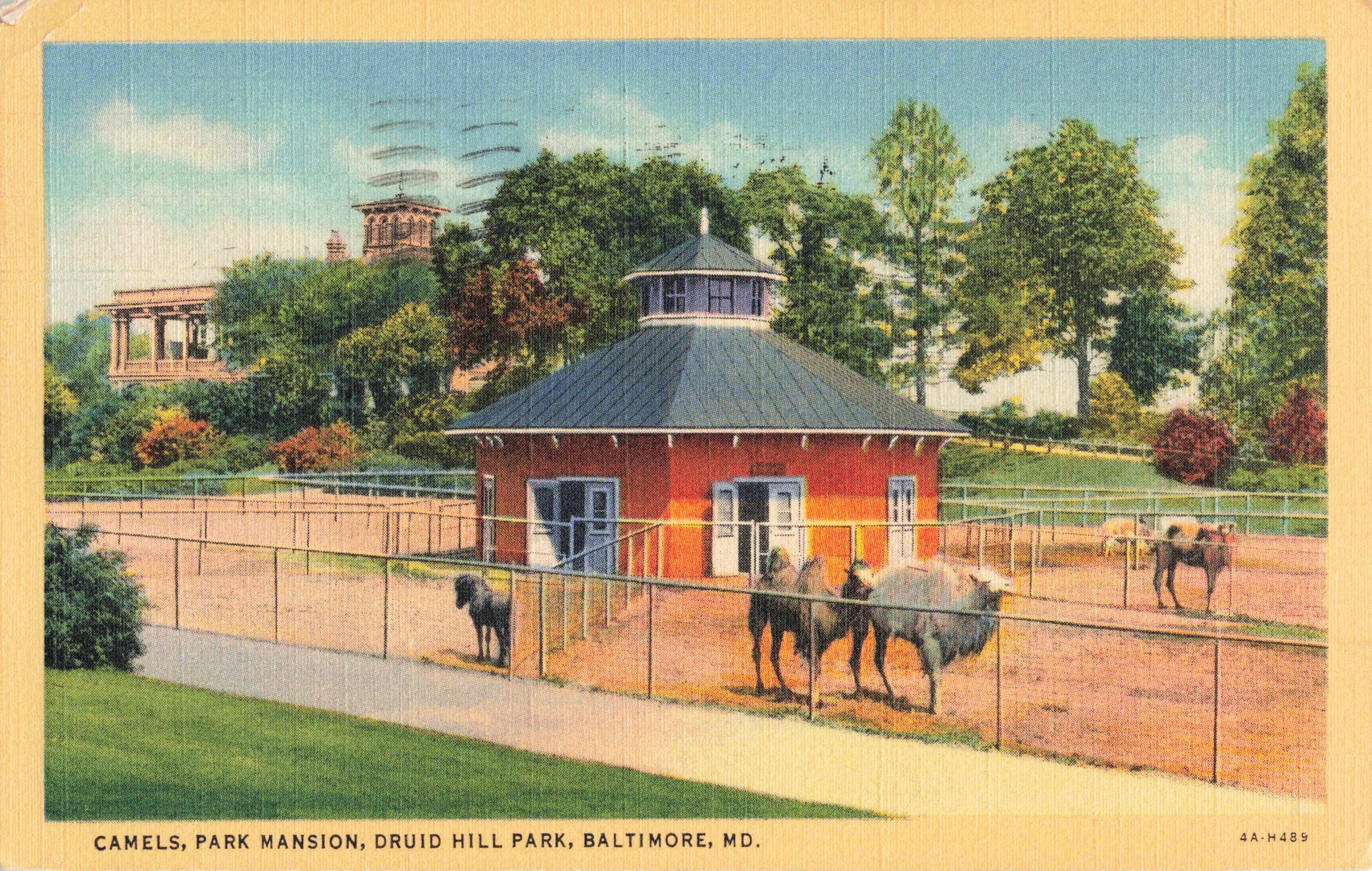 Baltimore, Maryland Postcard Camels Park Mansion Druid Hill Park Linen ...