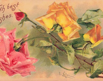 Best Wishes Postcard Roses Artist Signed Klein Embossed About 1910