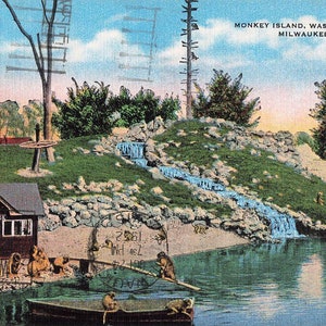 Milwaukee, Wisconsin Carte postale Monkey Island, Washington Park Cachet de la poste 1952