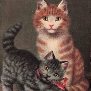 Carte postale chat et chaton signée Sophie Sperlich de Munich vers 1908