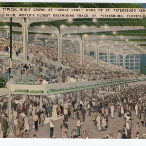 Carte postale de St. Petersburg, Floride Derby Lane St. Petersburg Kennel Club Cachet de la poste 1952