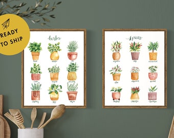 Culinary Herbs & Spices Watercolor Illustration | Minimalist Watercolor Art Print for Kitchen | Botanical Print Set Gift for Mom