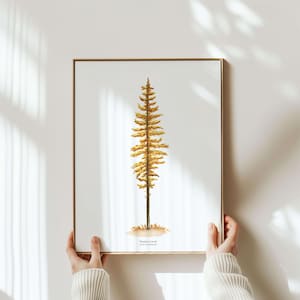 Decorazioni per la casa di montagna / Stampa ad acquerello di larice occidentale Tamarack / Arte murale rustica moderna per interni in stile naturale e baita