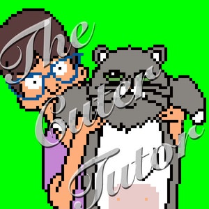 May include: A pixelated illustration of a person with brown hair and glasses holding a gray and white cat. The cat is looking to the left and the person is looking to the right. The background is green.