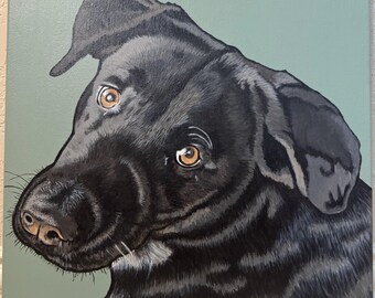 Custom Pet Portrait