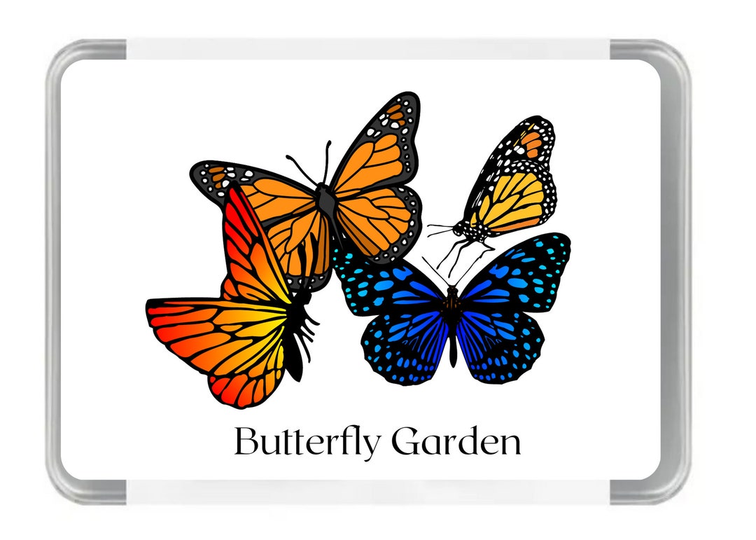 Butterfly Garden Seed Tin Butterfly Garden Gift Set Etsy