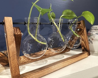 Glass Plant Propagation Vase: Bulb Terrarium with Wooden Stand